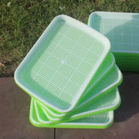 Seed Sprouting Tray Hydroponic Growing Kit for Microgreens and Bean Sprouts