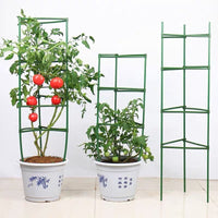 Adjustable Plant Support Stakes for Tomatoes, Cucumbers, and Climbing Vines