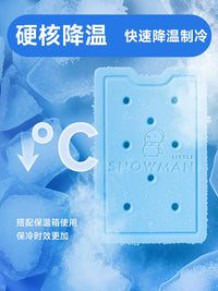 Reusable Ice Packs for Coolers, Portable Air Conditioners, and Pet Cooling - Various Sizes