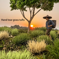 Self-Adhesive Static Grass Tufts for Dioramas and Dollhouse Landscaping