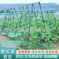 Coated Steel Plant Support Stakes for Climbing Vines, Cucumbers, Beans, Grapes, and Passion Fruit - 50 Pack