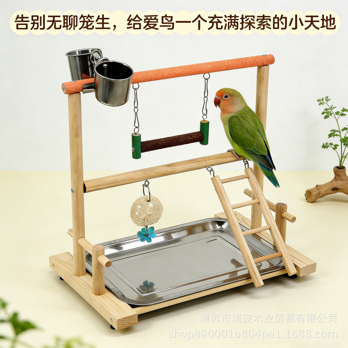 Parrot Desktop Perch with Swing and Grinding Rod for Birds