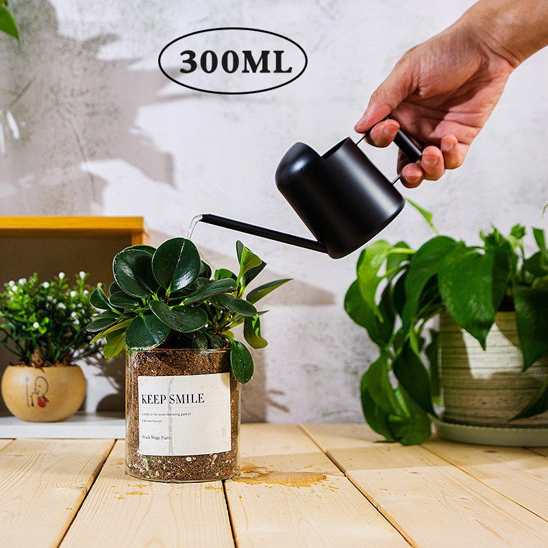 Mini Stainless Steel Watering Can for Indoor Plants & Succulents, Small Garden Sprinkler Pot