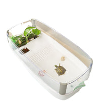 Turtle Tank with Filter and Landscaping for Home Use