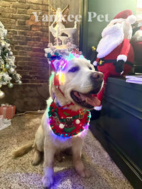Christmas Pet Scarf with LED Lights & Headband Set, Santa Dog Costume for Holiday Photos