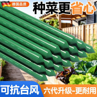 Garden Trellis for Climbing Plants, Beans, Cucumbers, Tomatoes - Vegetable Support Frame for Farming and Home Gardening