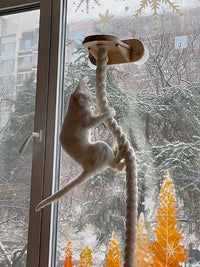 Wall-Mounted Cat Scratching Rope Climbing Post