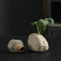 Mini Zen Ceramic Vase for Hydroponics and Decor - Stone-Inspired Design