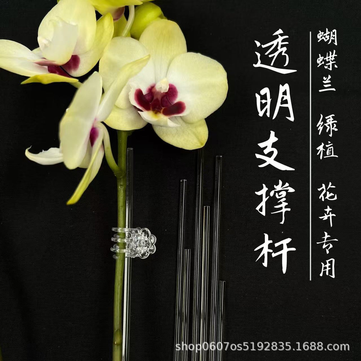 Clear Acrylic Plant Support Stakes for Orchids, Monstera, Begonias, and Aroids
