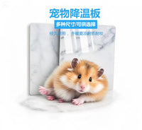 Pet Cooling Stone Slab for Hamsters, Rabbits, and Cats - High Temperature Resistant Slate Board