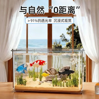 Clear Acrylic Desktop Fish Tank with Ecological Landscape for Goldfish and Turtles