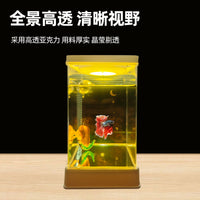 2024 Adjustable LED Light Acrylic Fish Tank with Background Card for Betta Fish