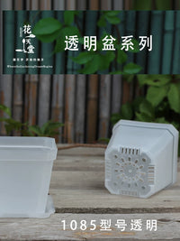 Clear Thickened Plastic Succulent Planter Pots for Seed Starting and Root Control