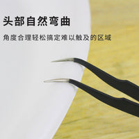 Stainless Steel Succulent Tweezer Set for Potted Plants