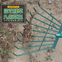 1.6m Green Wire Rake for Leaves and Garden Debris with Extended Handle