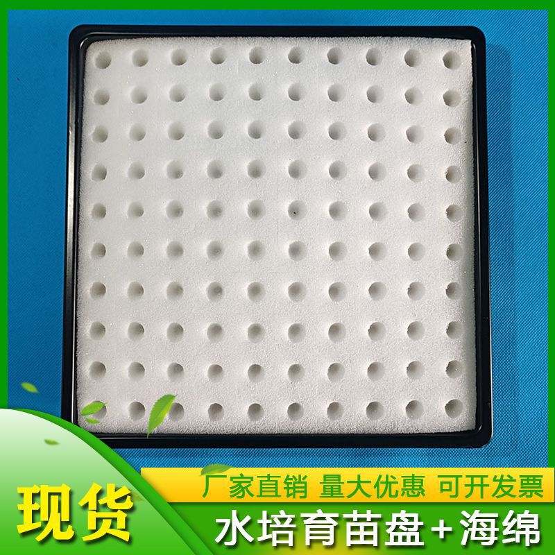 Hydroponic Seedling Tray with Sponge for Home Gardening