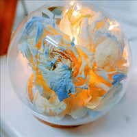 DIY Glass Dome Display with Cork Base for Dried Flowers Figurines Keepsakes