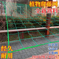 Plant Trellis Netting for Climbing Vegetables and Fruits, Garden Support Mesh for Cucumber, Loofah, Passion Fruit