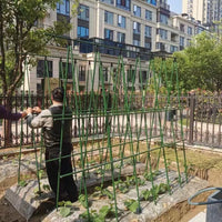 Cucumber Tomato Plant Support Stakes Garden Trellis for Climbing Vegetables and Fruits