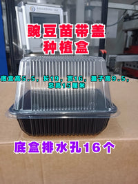 Disposable Plastic Seedling Trays with Lids for Hydroponic Pea Sprouts & Microgreens, 1000-Pack