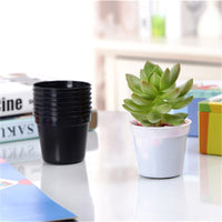 Plastic Nursery Pots for Seedlings and Succulents - White and Black Small Round Planters