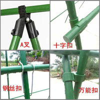 Garden Plant Support Stakes and Connectors for Climbing Vines