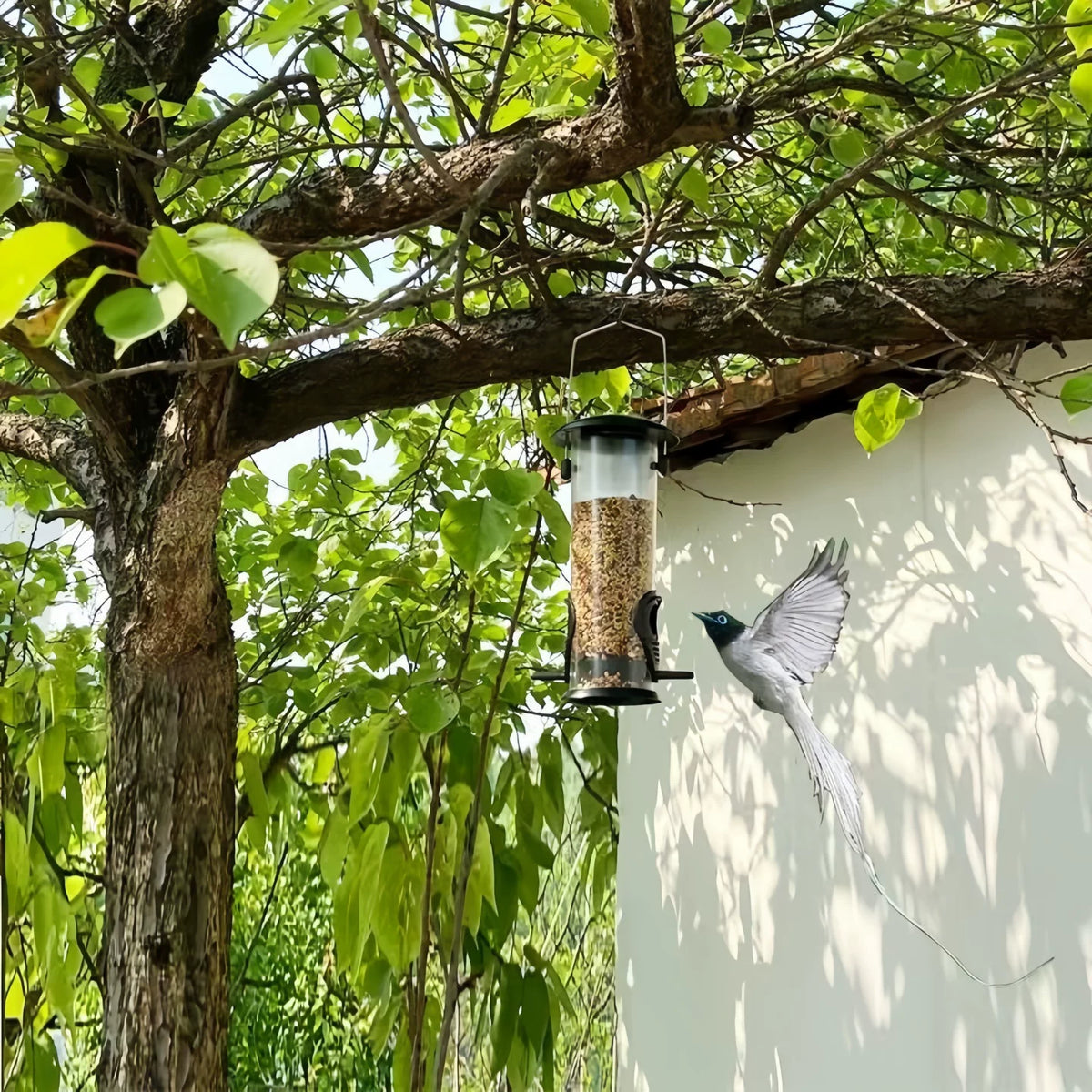 Outdoor Hanging Bird Feeder for Small Birds, Parrots, and Mynah Birds