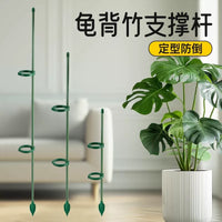 Adjustable Plant Support Stakes for Tomatoes, Cucumbers, and Climbing Vines