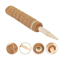Coir Moss Pole for Climbing Plants, Monstera, Pothos, and Indoor Greenery Support