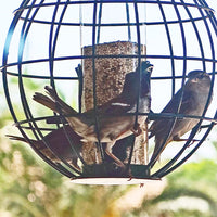 Lantern Metal Bird Feeder with PC Tube for Outdoor Hanging, Squirrel-Proof Hummingbird Feeder