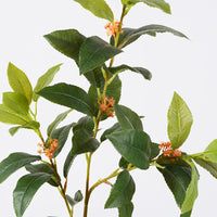 Artificial Osmanthus Leaf Branches for Landscaping and Decoration