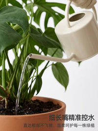 Long Spout Watering Can for Indoor Outdoor Plants, 1L Metal Watering Pot for Potted Flowers and Garden