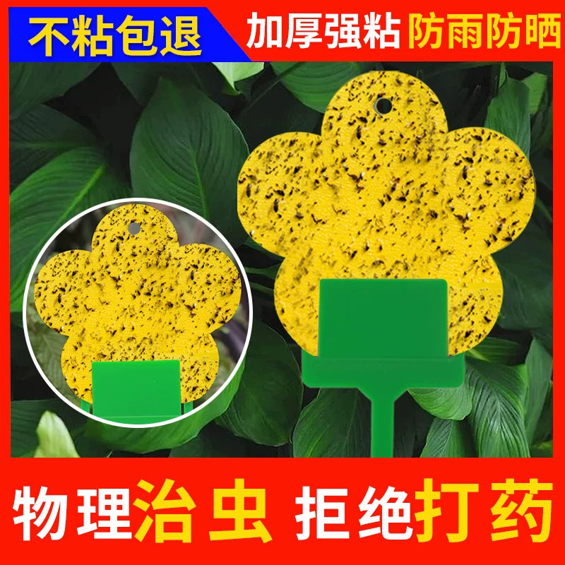 Yellow Sticky Traps for Indoor Plants and Outdoor Gardens - Dual-Sided Insect Catcher for Gnats, Fruit Flies, Mosquitoes