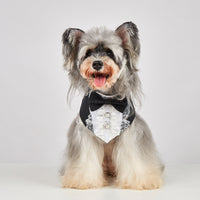 Tanpopo Pet Wedding Bandana with Hook and Loop Fastener