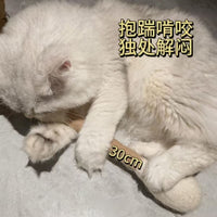 Catnip Infused 100% Pure Wool Cotton Swab Cat Toy for Teeth Cleaning and Self-Amusement