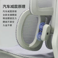 Ergonomic Dual-Drive Lumbar Support Office Chair with Footrest and 8D Armrests