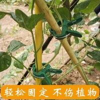 Garden Plant Clips for Support and Training, Tomato Vine Clips, Reusable Plastic Plant Grips