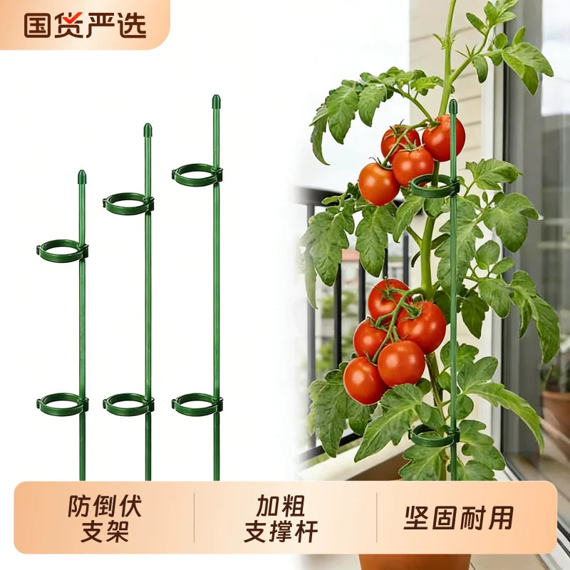 Plant Support Stakes for Potted Plants, Tomatoes, and Climbing Vines - Anti-Toppling Garden Support Kit