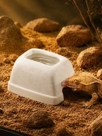 Reptile Ceramic Hideout Cave Humidifying Shelter for Geckos Snakes Lizards Natural Terracotta