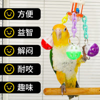 Parrot Acrylic Bell Ball Chew Toy for Budgies Cockatiels Conures