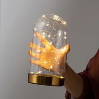 Glass Display Dome with Metal Base for Figurines, Everlasting Flowers, and Blocks, Dustproof