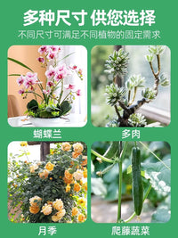 Plant Support Stakes for Tomatoes, Peppers, and Climbing Vines - Garden Flower Stand