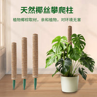 Coir Moss Pole for Climbing Plants, PVC Base Plant Support Stick for Potted Plants, Garden Trellis Extension