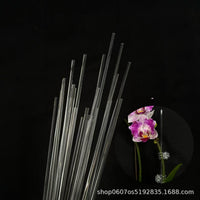 Clear Acrylic Plant Support Stakes for Orchids, Monstera, Begonias, and Aroids