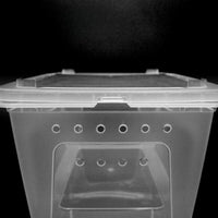 Reptile Terrarium with Basking Platform for Turtles, Spiders, Crabs, Frogs, Geckos, and Insects