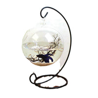 Hanging Glass Terrarium Fish Tank with Iron Stand for Plants and Small Fish