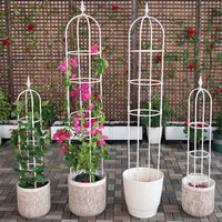 Rose and Clematis Garden Trellis for Climbing Plants, Outdoor Metal Arch Support