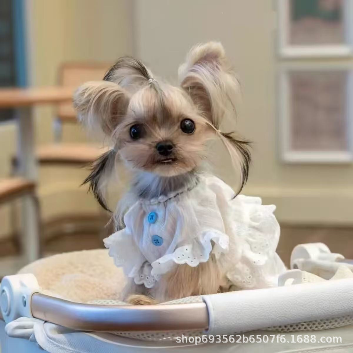 Pet Breathable Fly-Sleeve Shirt for Small Dogs and Cats