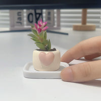 Heart-shaped Cartoon Succulent Planter Pots with Tray, Mini Creative Desktop Plant Pots