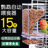 Automatic Bird Feeder with Spill-Proof Design and Seed-Hull Separation for Parrots